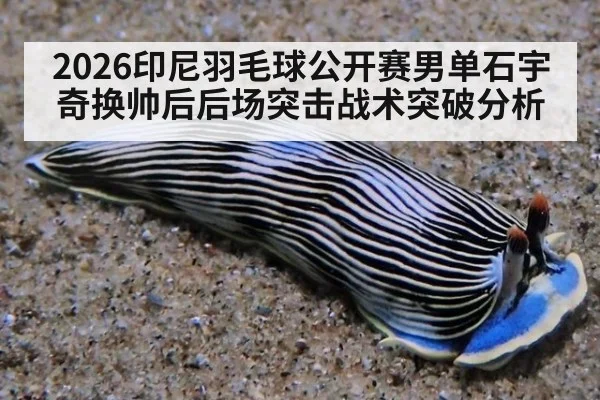 2026印尼羽毛球公开赛男单石宇奇换帅后后场突击战术突破分析
