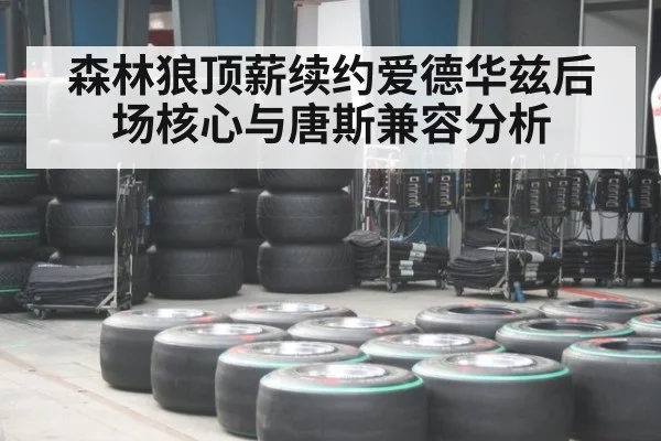 森林狼顶薪续约爱德华兹后场核心与唐斯兼容分析